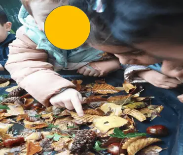 Exploring Autumn Materials